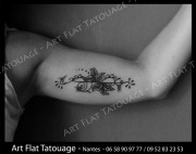 f - arabesque - bras - 001 S