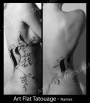 f - arabesque - flanc - 001 S
